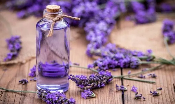 روغن اسطوخودوس