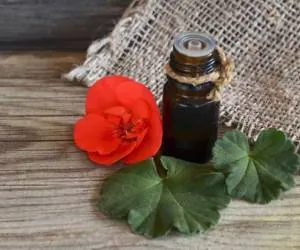 روغن ژرانیوم