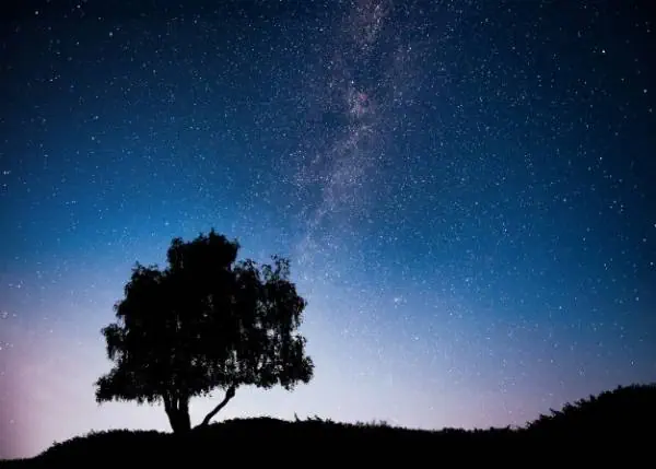 شب بخیر انگلیسی