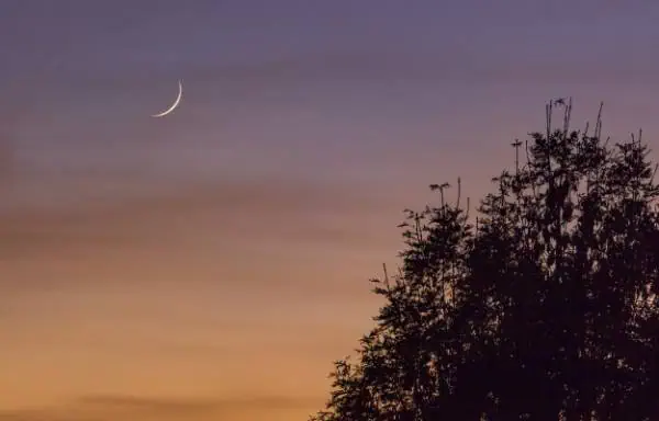 good night sms
