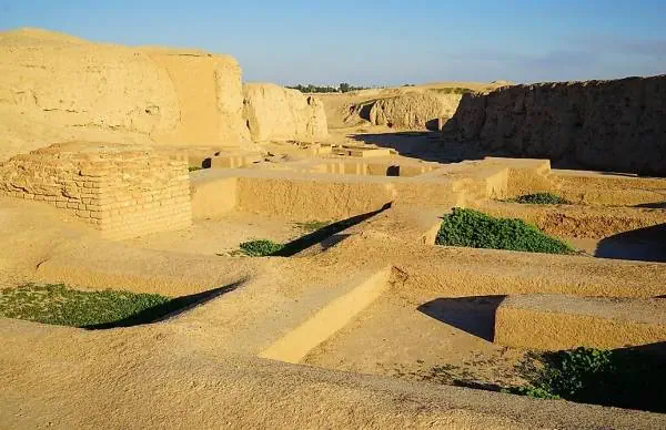 شوش ایران 