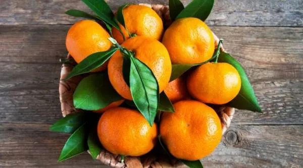مواد غذایی برای شب یلدا