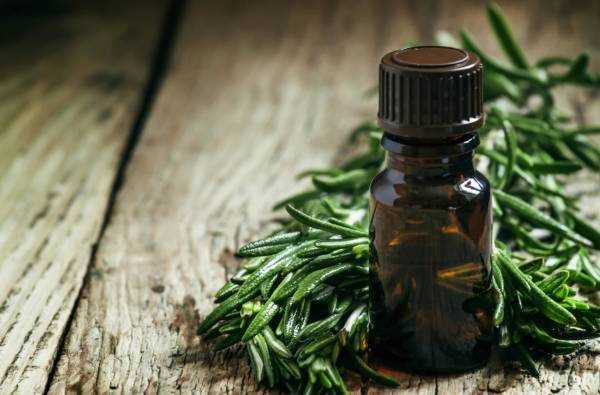 روغن درخت چای