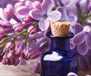 خواص روغن بنفشه