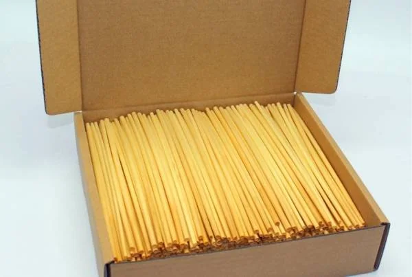 مخترع نی