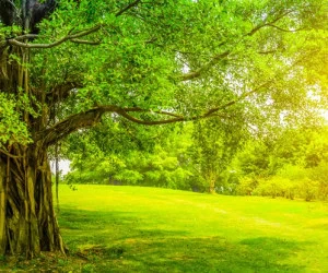 مزاج فصل بهار