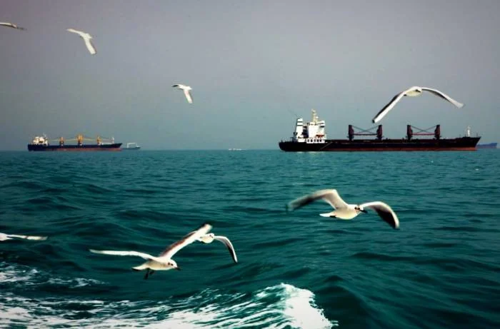 خور موسی 