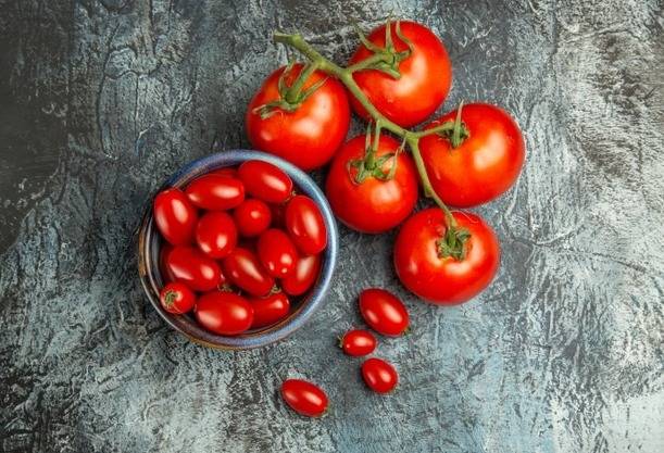 اصول کاشت و پرورش گوجه فرنگی در خانه