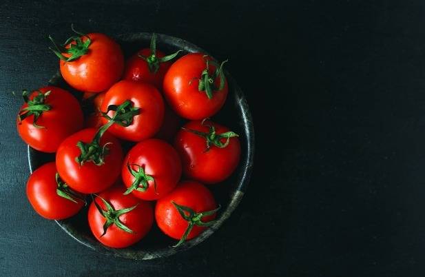اصول کاشت و پرورش گوجه فرنگی در خانه