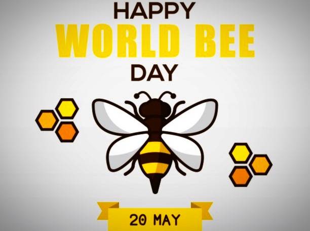 پیام تبریک روز زنبور