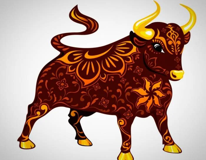 طالع بینی چینی سال گاو متولدین سال گاو