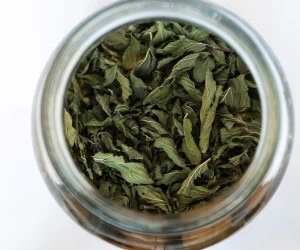 خشک کردن نعناع