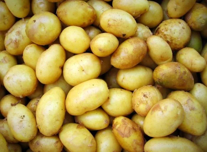 سیب زمینی شیرین