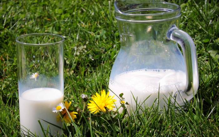 کاربردهای جالب شیر خراب و ترشیده