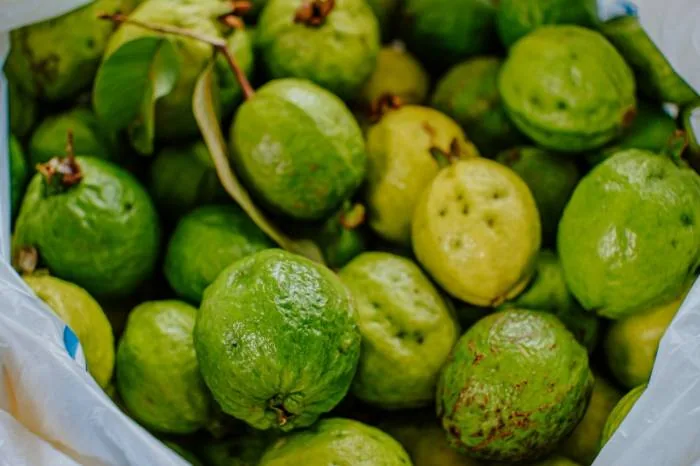 خوردن گواوا