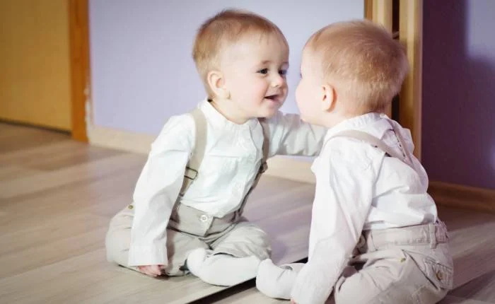 نگاه به آینه 