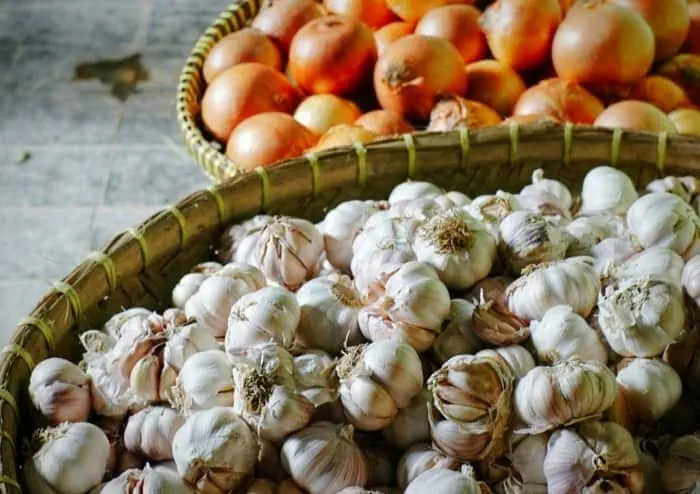 محل نگهداری سیر و پیاز 