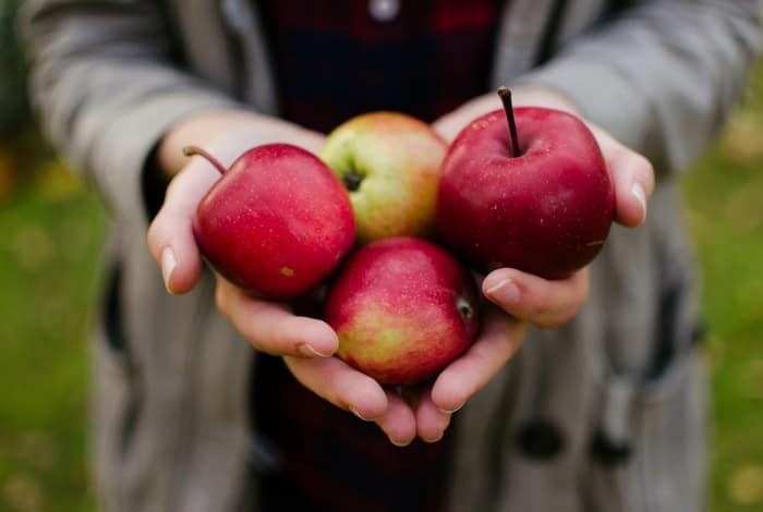 سیب زمینی رو کنار این میوه ها نگهداری نکنید