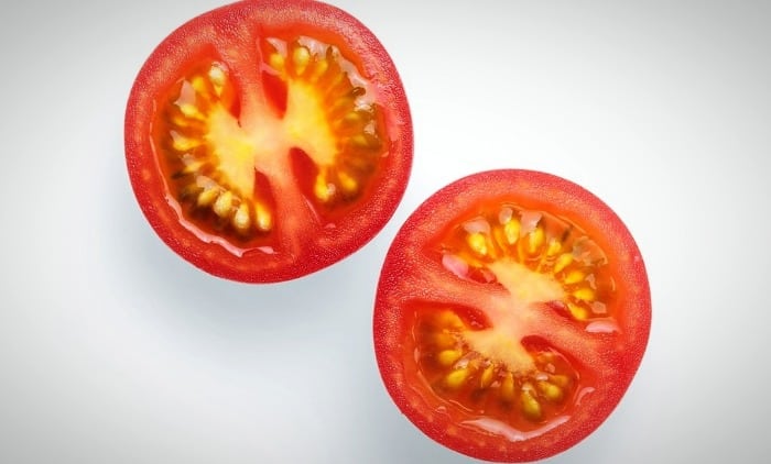گوجه فرنگی