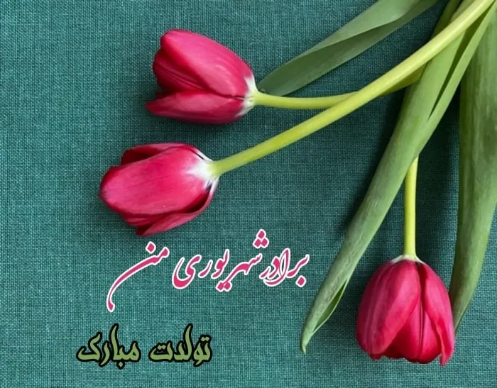 تولد برادر شهریوری