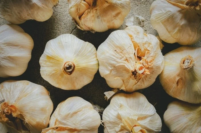 سیر
