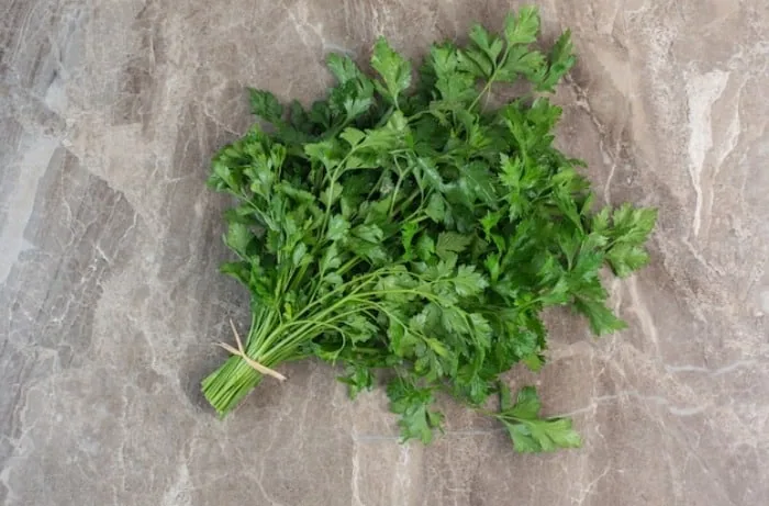 جعفری