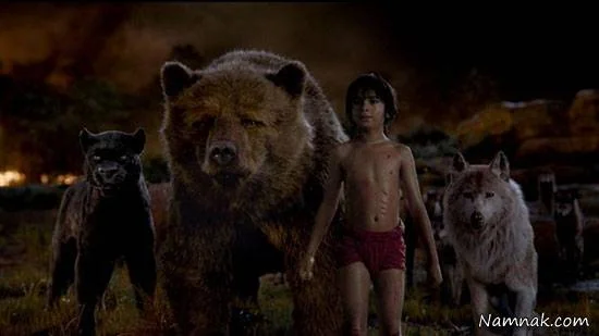 بهترین فیلم 2016