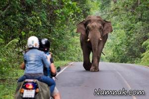 پارک ملی تایلند