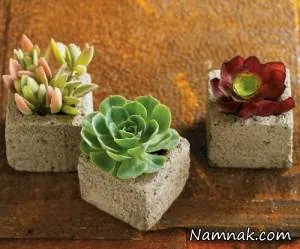 تزیین آشپزخانه