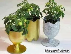 گلدان با بطری نوشابه