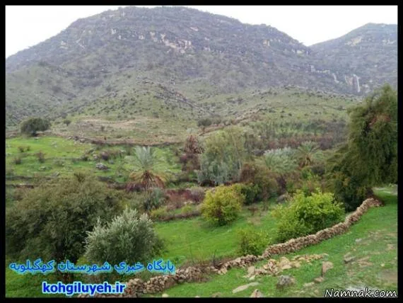 روستای دژکوه