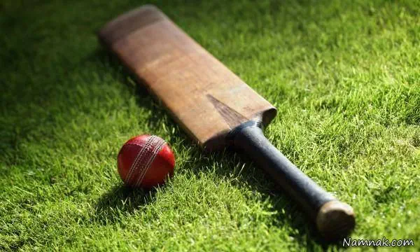 کریکت