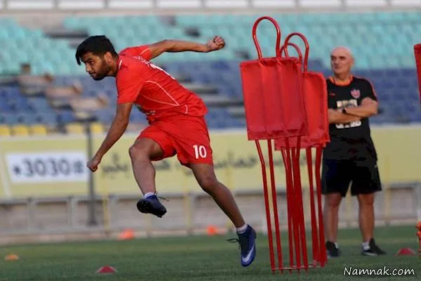 مهدی شریفی در پرسپولیس