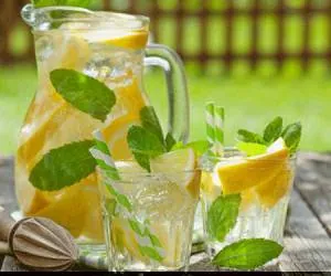 نعنا و لیمو ترش