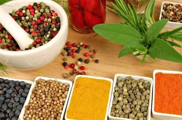 خرید دارو گیاهی