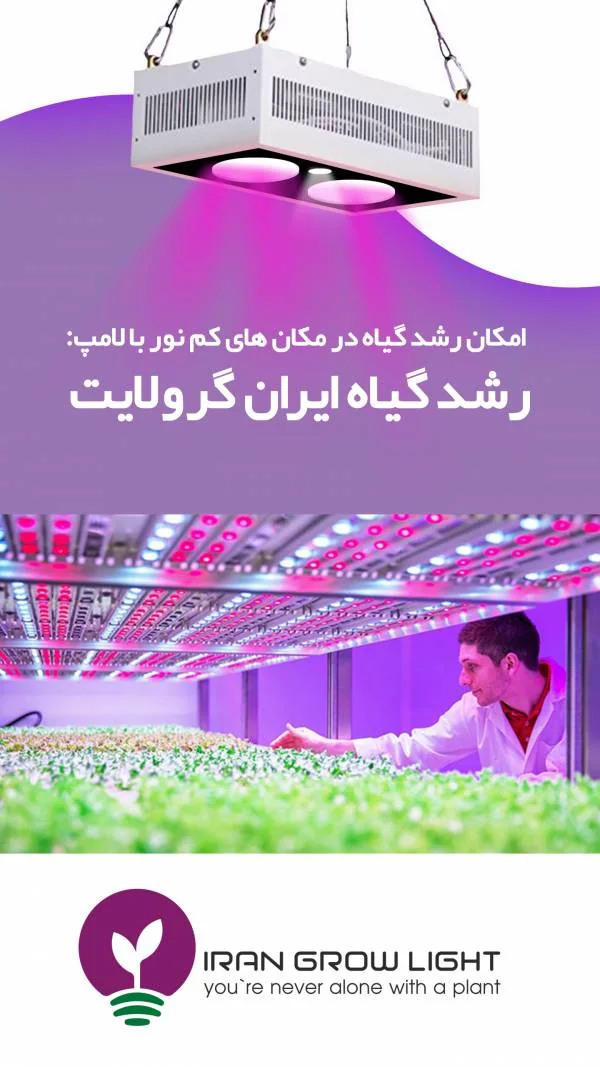 چراغ رشد گیاه