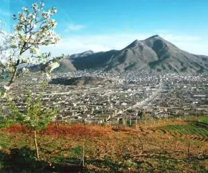 خرید از بانه