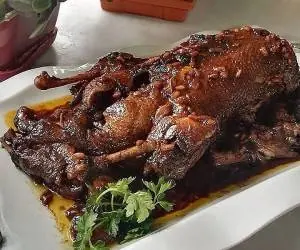 اردک شکم پر