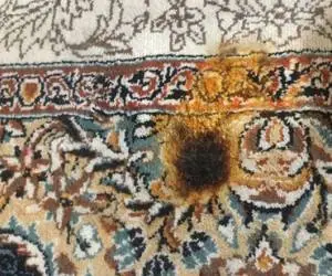 سوختگی فرش