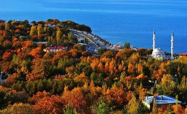 وان