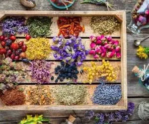 درمانگیاه: فروش داروهای گیاهی و گیاهان دارویی و محصولات طب سنتی