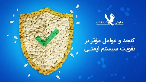 خاصیت کنجد