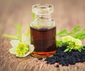 fennel flower oil