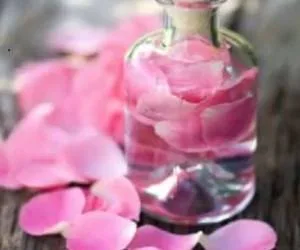 شربت گلاب