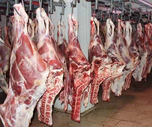 قیمت گوشت