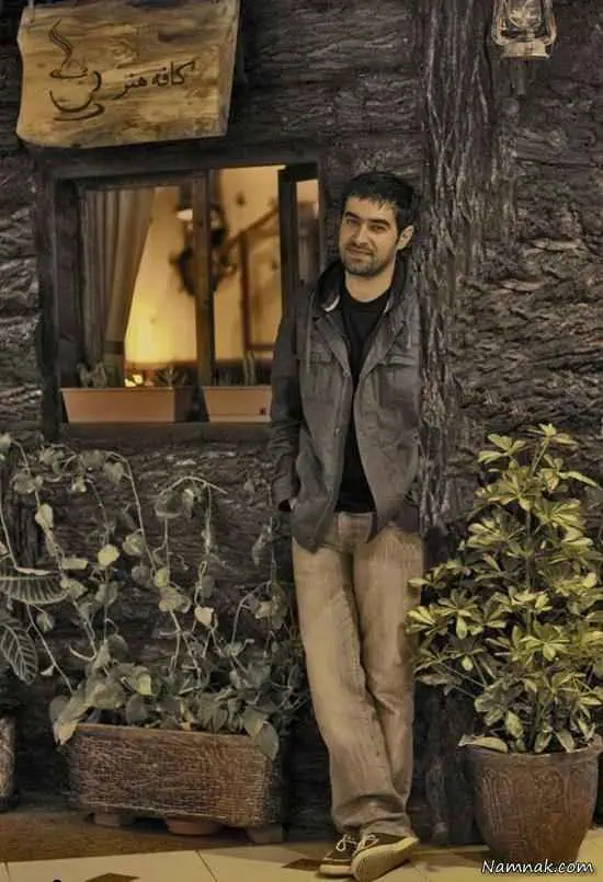 شهاب حسینی