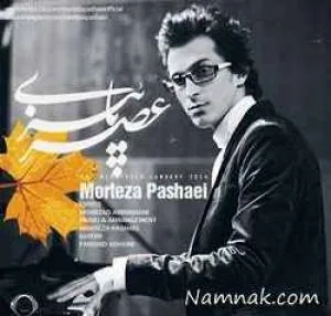 مرتضی پاشایی