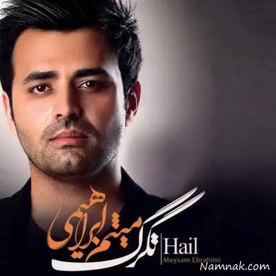 میثم ابراهیمی 