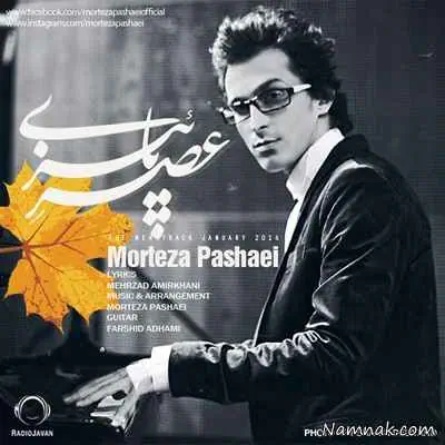 عصر پاییزی مرتضی پاشایی