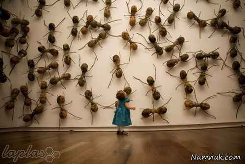 مورچه های فایبر گلاسی